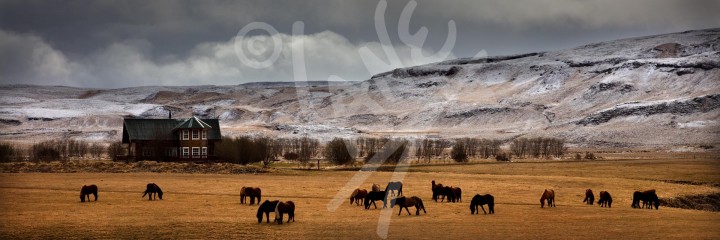 ICELAND Fludir